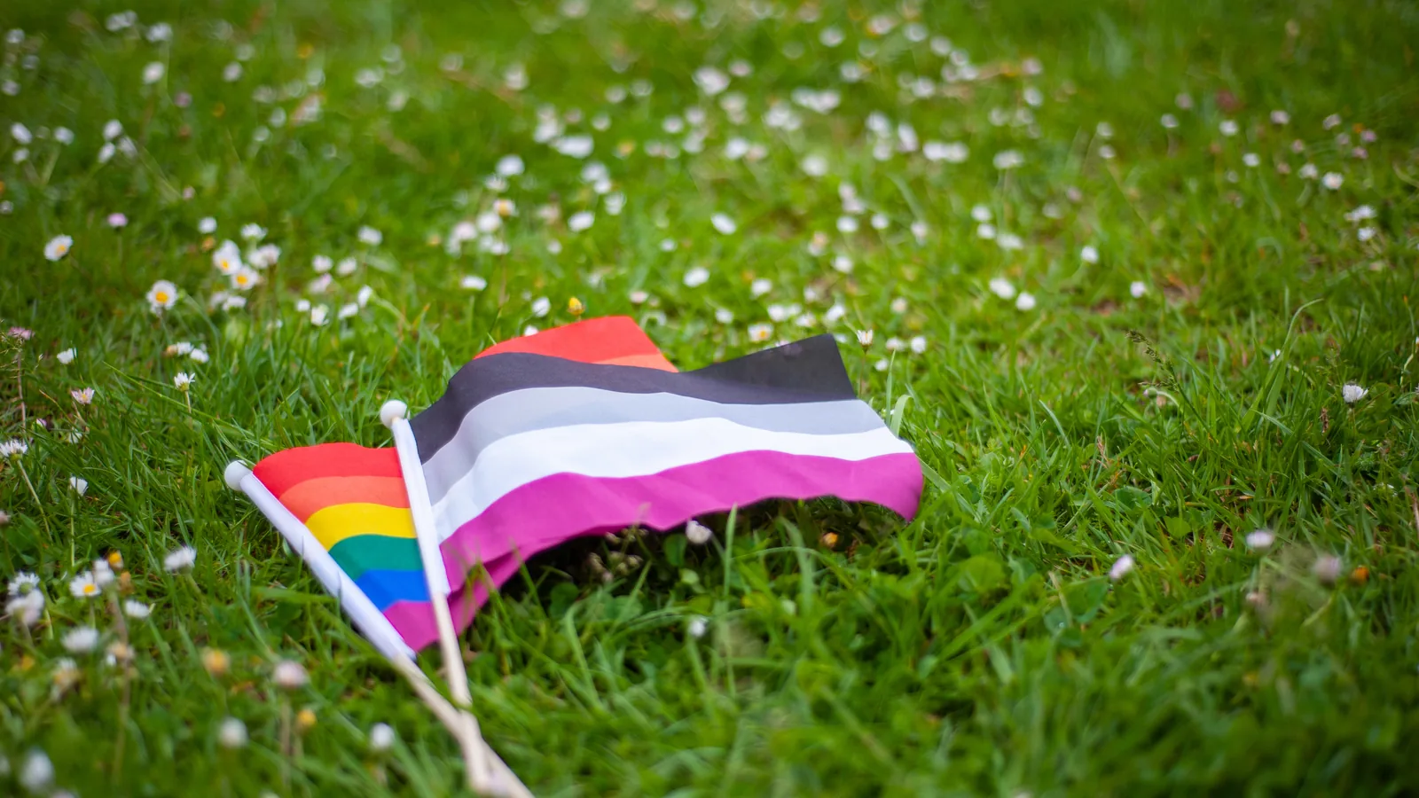 An asexual pride flag and a rainbow flag lying together on the grass