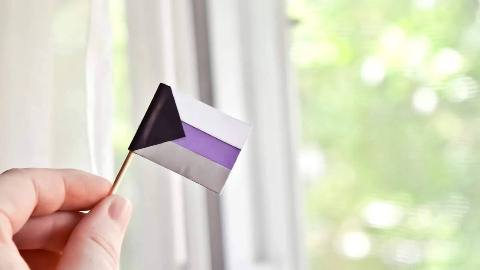 A hand holding a small demisexual pride flag in front of a sunny window