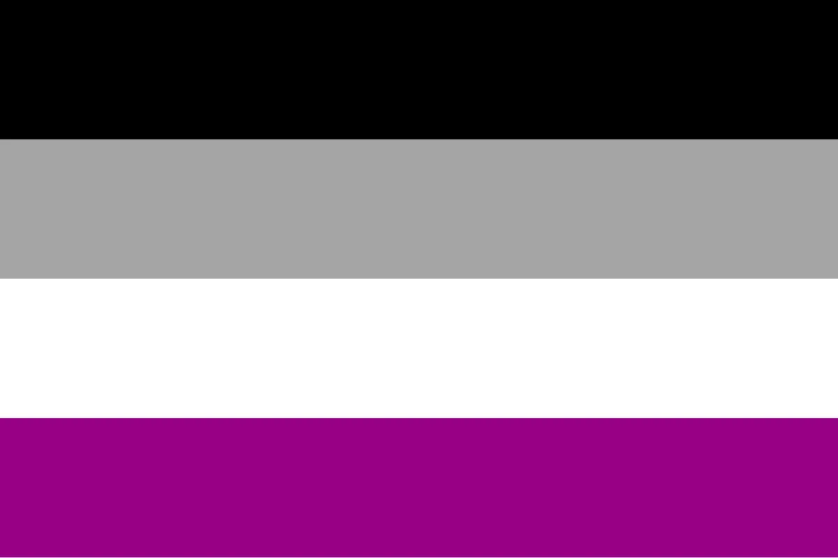 The asexual pride flag: black, grey, white and purple horizontal stripes