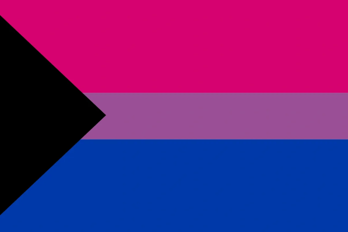 The demi-bisexual flag: a black triangle with pink, purple and blue stripes