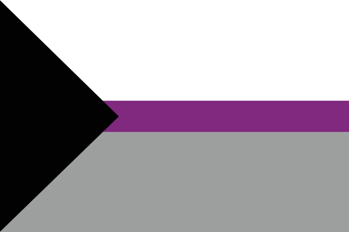 The demisexual flag: a black chevron with white, purple and grey horizontal stripes