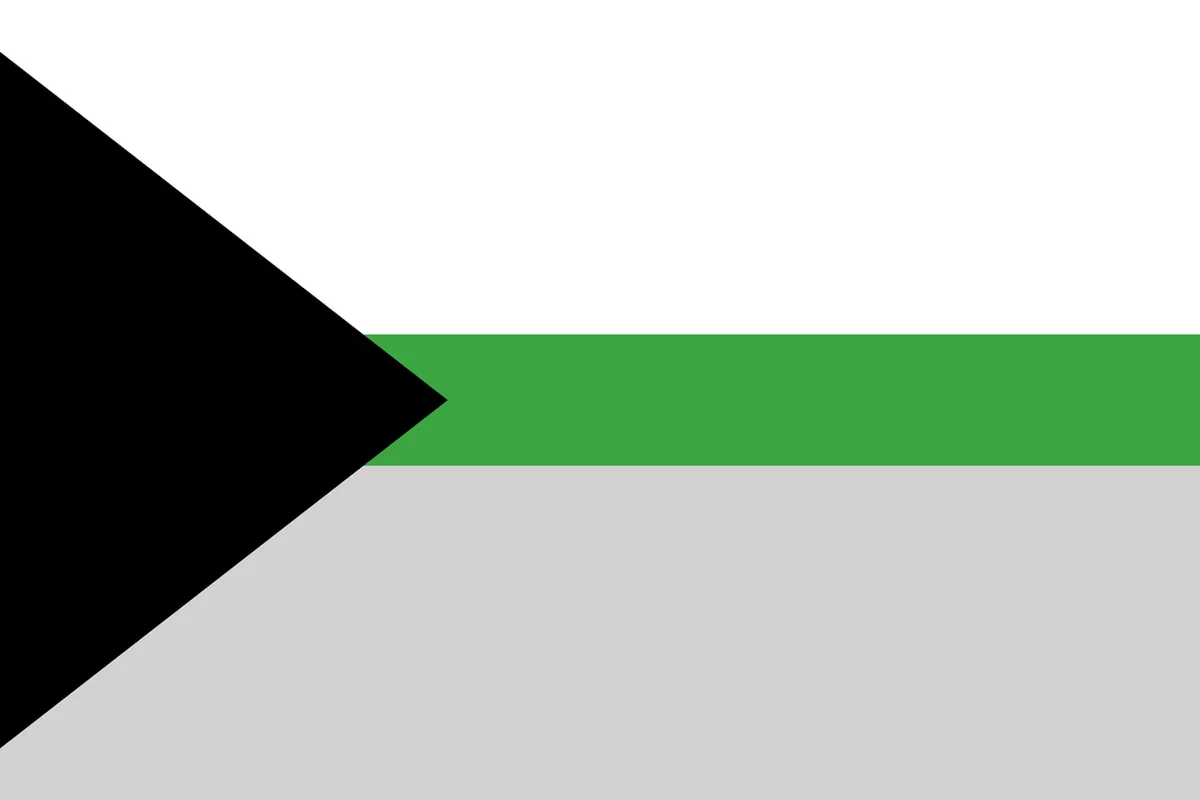 The demiromantic flag: a black triangle with white, green and grey stripes