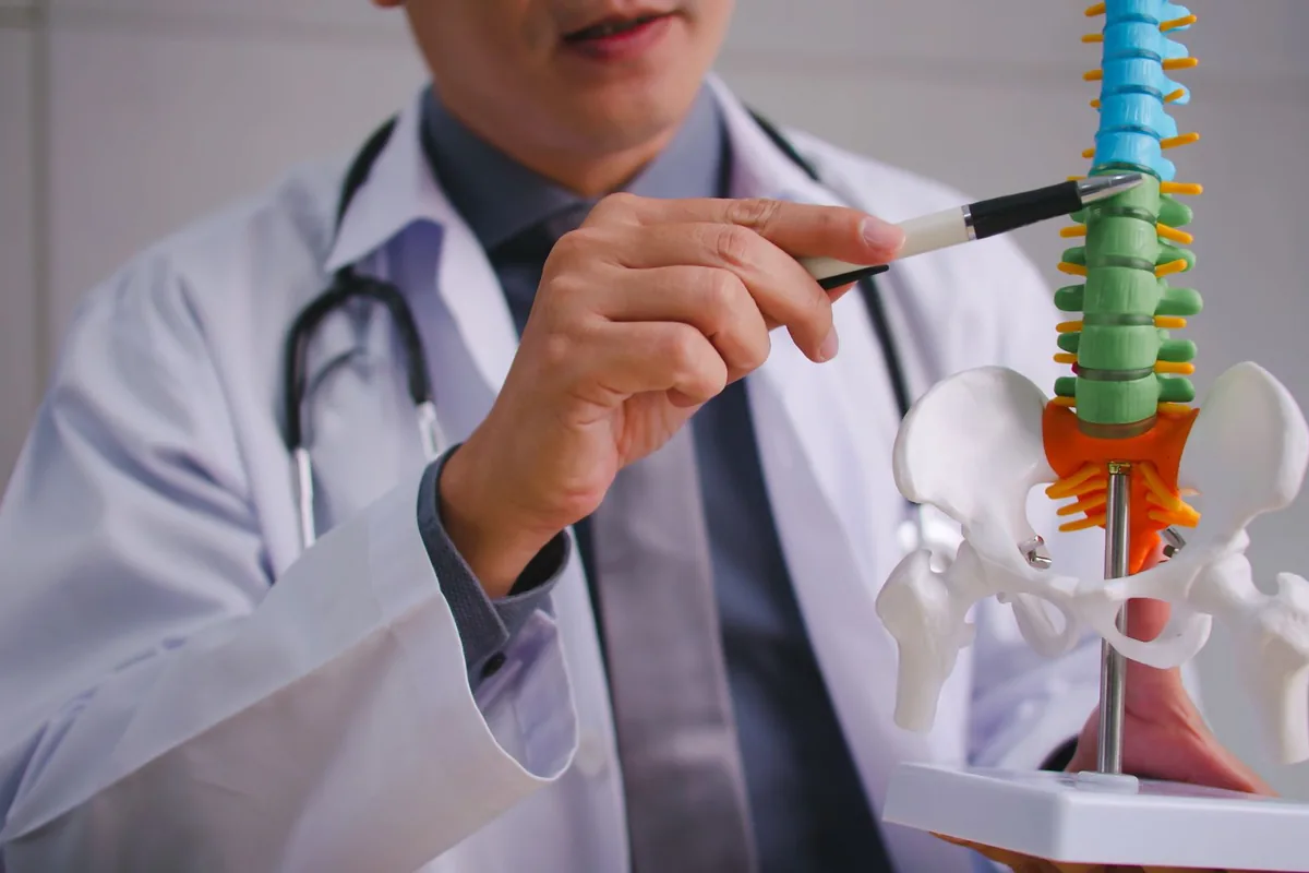 A doctor pointing to a model of the lumbar spine and pelvis