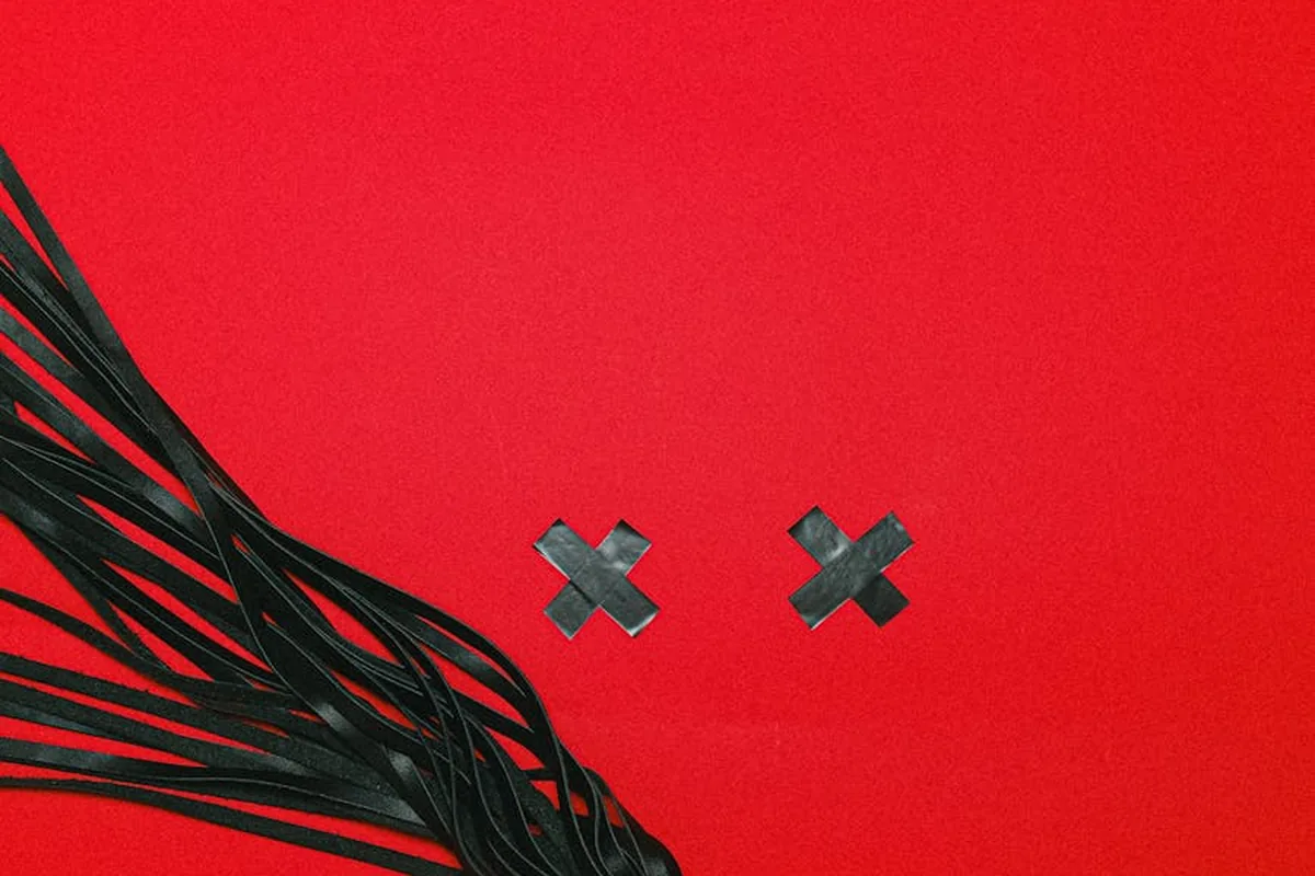 A black flogger on a bright red background