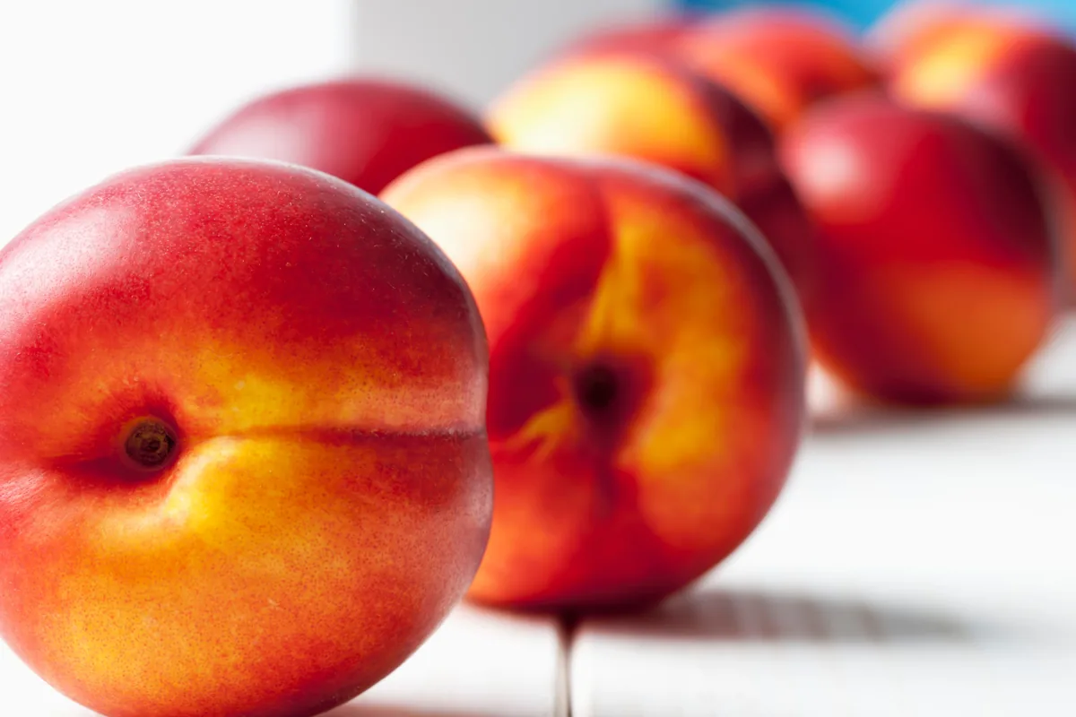 A row of ripe peaches on a white table