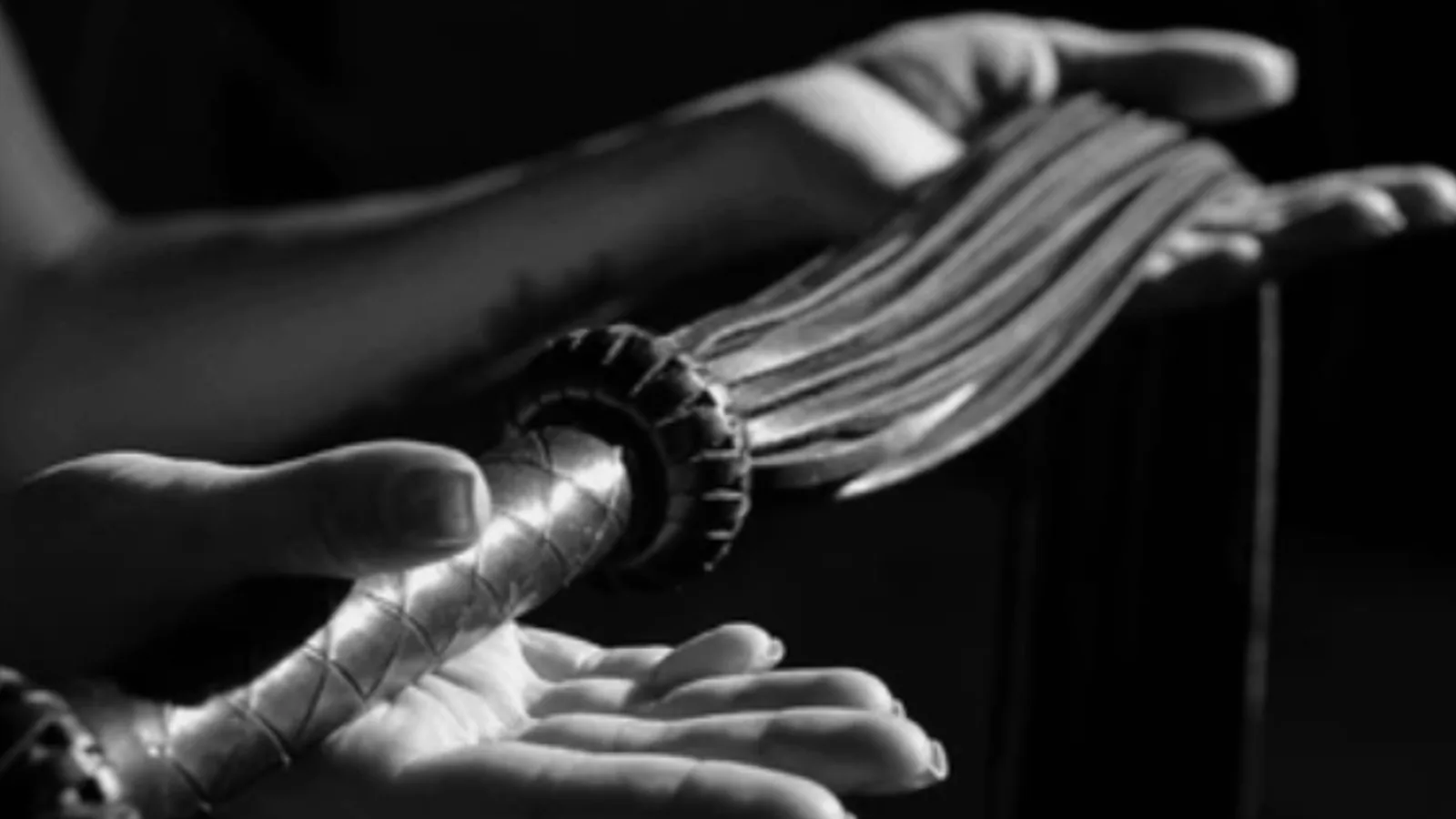 Black-and-white photo of a leather flogger resting across open hands