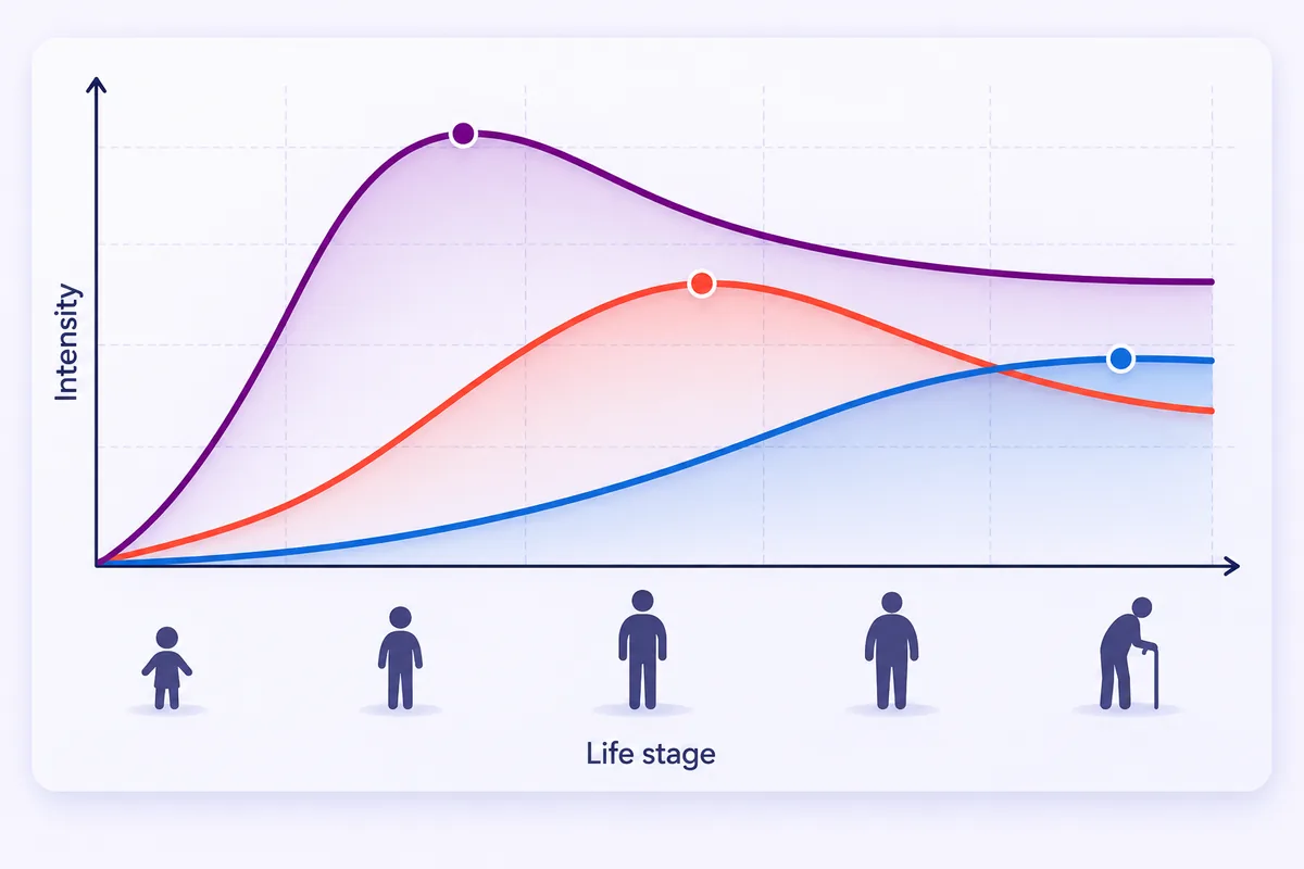 Three wave lines of different speeds on a shared timeline with age markers